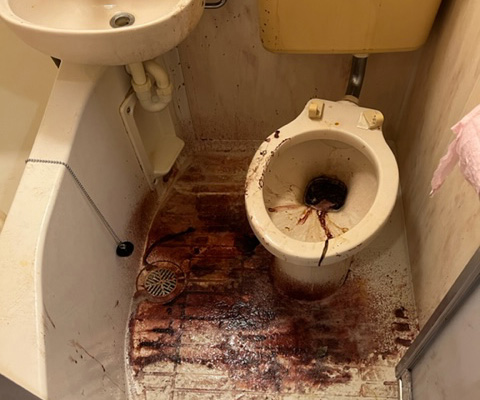 トイレ孤独死