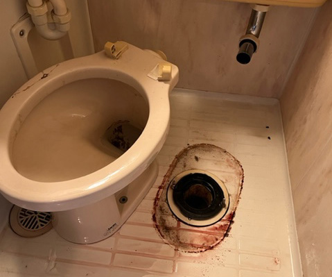 トイレ取り外し