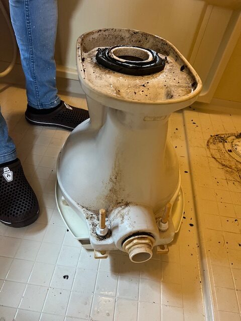 便器の死角は清掃していない