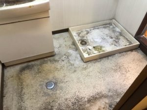 洗面所清掃前